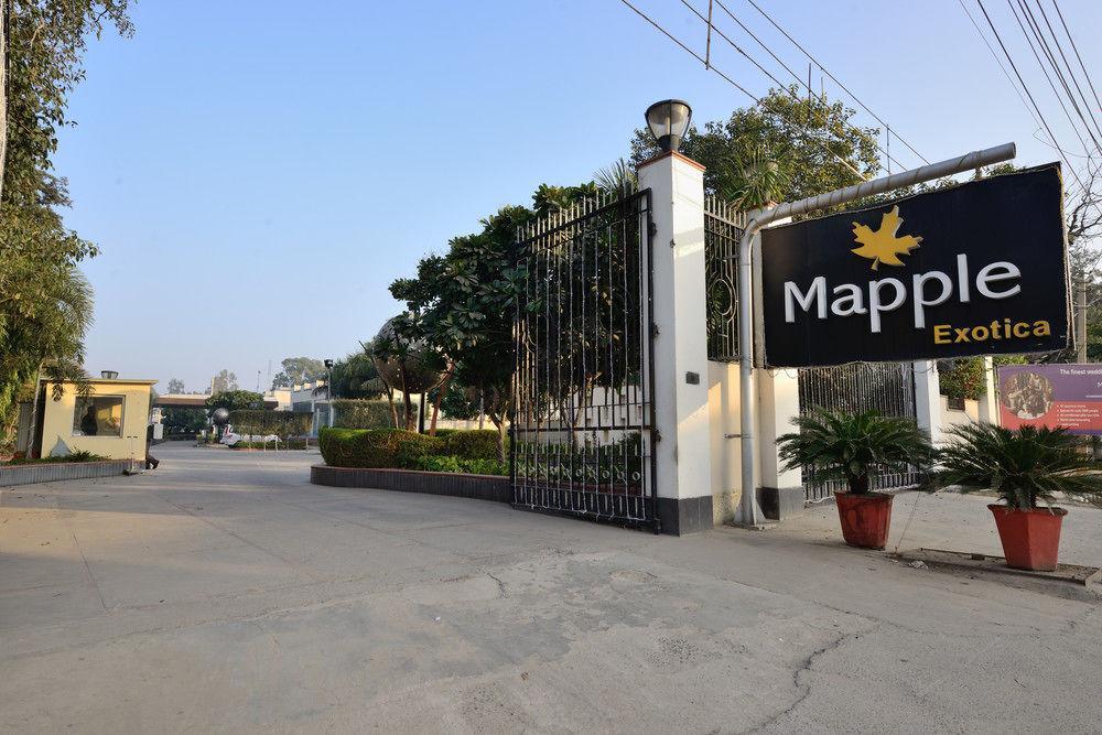Hotel Mapple Exotica New Delhi